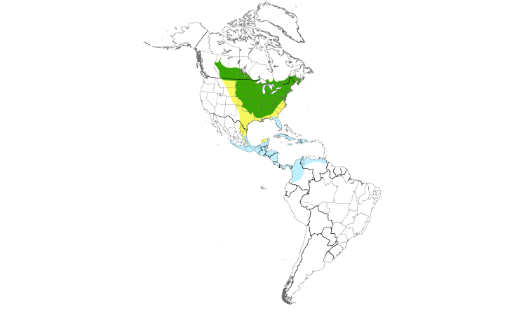 Range Map (Americas): Baltimore Oriole