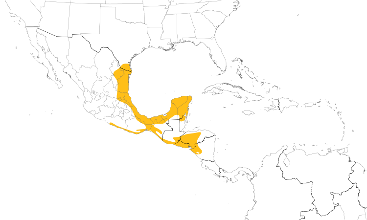 Range Map (Central): Altamira Oriole