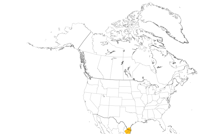 Range Map (North): Altamira Oriole