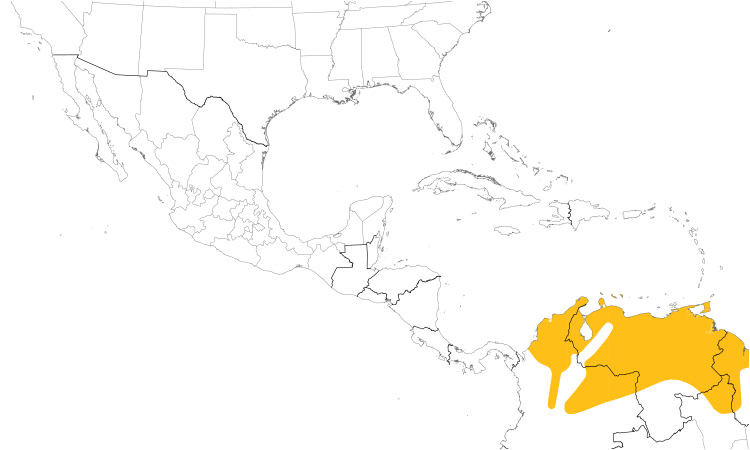 Range Map (Central): Yellow Oriole