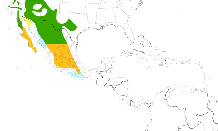 Range Map (Central): Scott's Oriole
