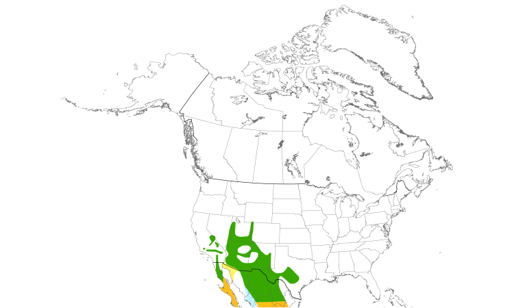 Range Map (North): Scott's Oriole