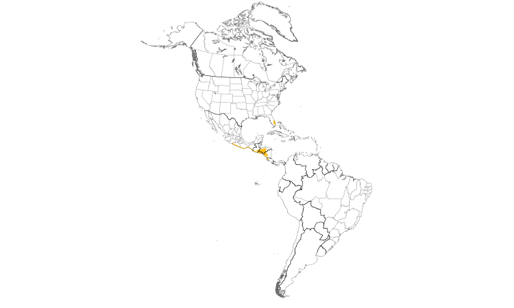 Range Map (Americas): Spot-breasted Oriole