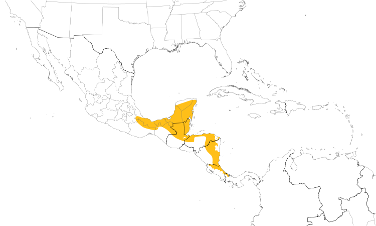Range Map (Central): Black-cowled Oriole