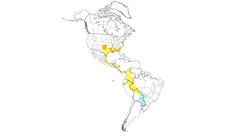 Range Map (Americas): Mississippi Kite