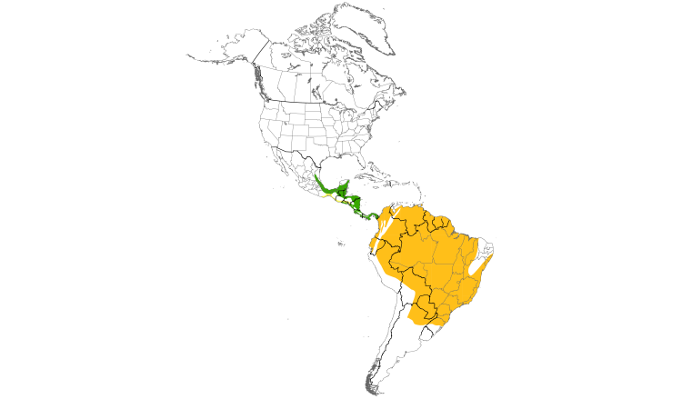 Range Map (Americas): Plumbeous Kite