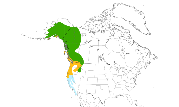 Range Map (North): Varied Thrush
