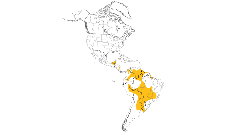 Range Map (Americas): Jabiru