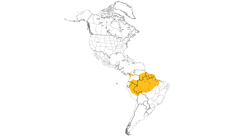 Range Map (Americas): Great Jacamar