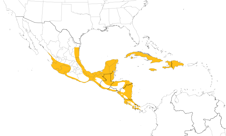 Range Map (Central): Northern Jacana