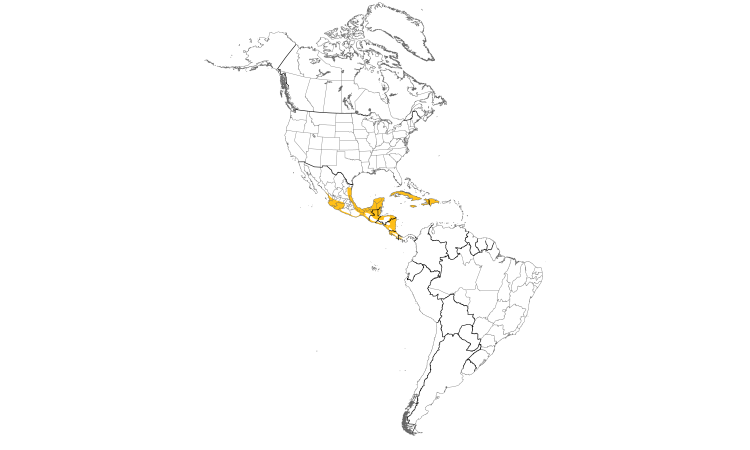 Range Map (Americas): Northern Jacana