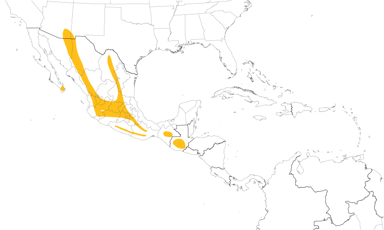Range Map (Central): Yellow-eyed Junco