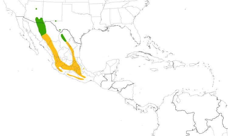 Range Map (Central): Blue-throated Hummingbird