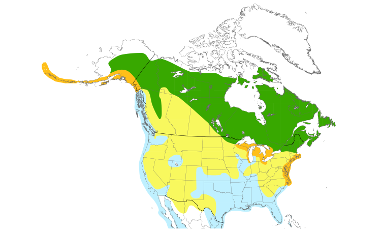 Range Map (North): Herring Gull