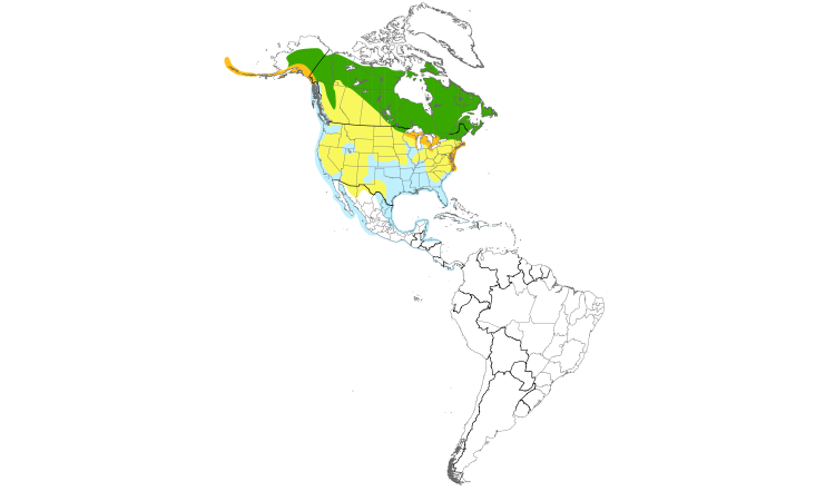 Range Map (Americas): Herring Gull