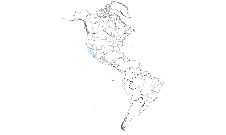 Range Map (Americas): Heermann's Gull