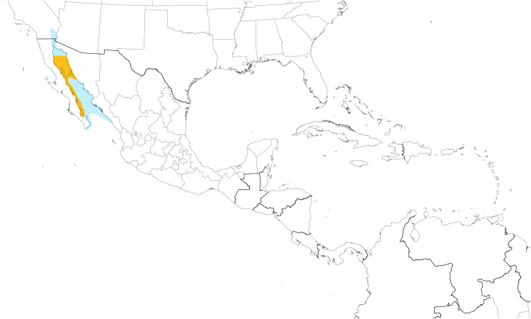 Range Map (Central): Yellow-footed Gull