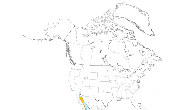 Range Map (North): Yellow-footed Gull