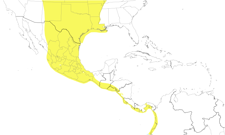 Range Map (Central): Franklin's Gull