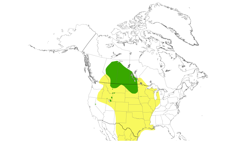 Range Map (North): Franklin's Gull