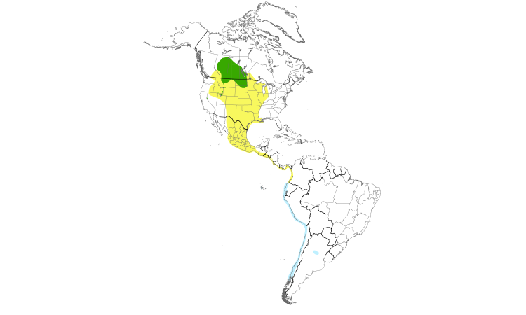 Range Map (Americas): Franklin's Gull