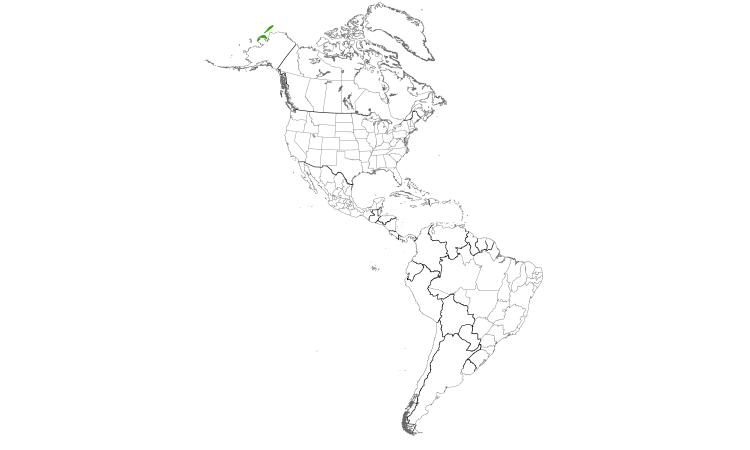 Range Map (Americas): Slaty-backed Gull
