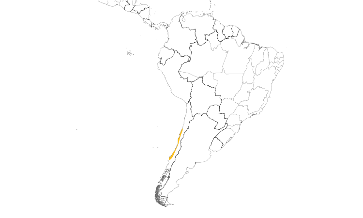 Range Map (South): Black Rail