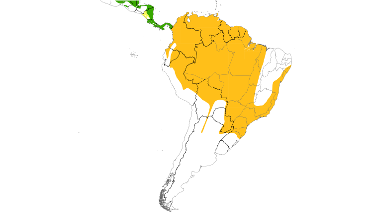 Range Map (South): Piratic Flycatcher