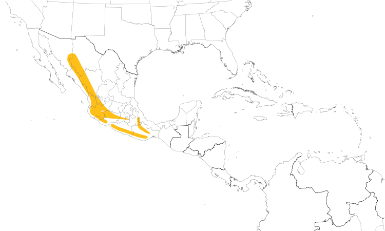 Range Map (Central): White-striped Woodcreeper