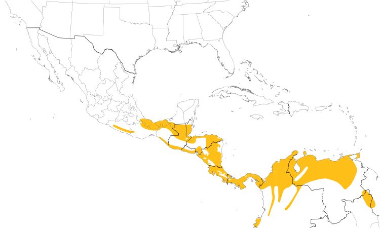 Range Map (Central): Streak-headed Woodcreeper