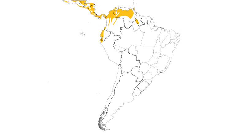 Range Map (South): Streak-headed Woodcreeper