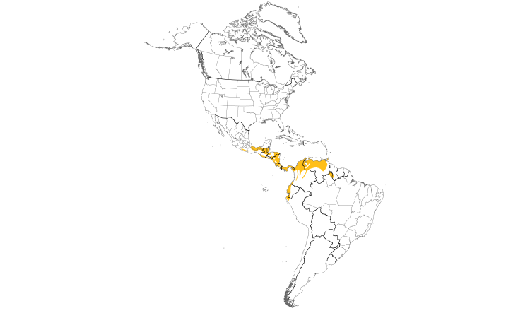 Range Map (Americas): Streak-headed Woodcreeper