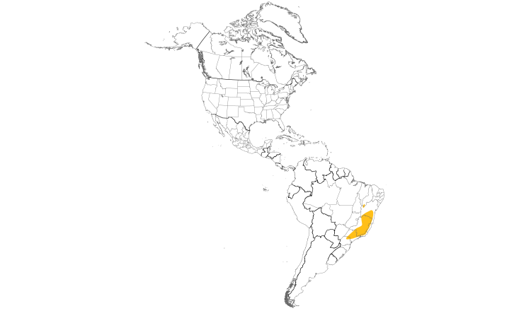 Range Map (Americas): Scaled Woodcreeper