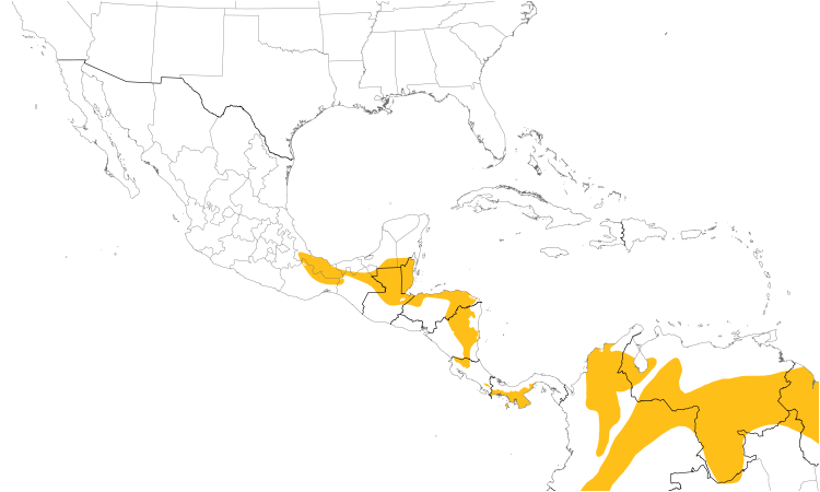 Range Map (Central): Sepia-capped Flycatcher