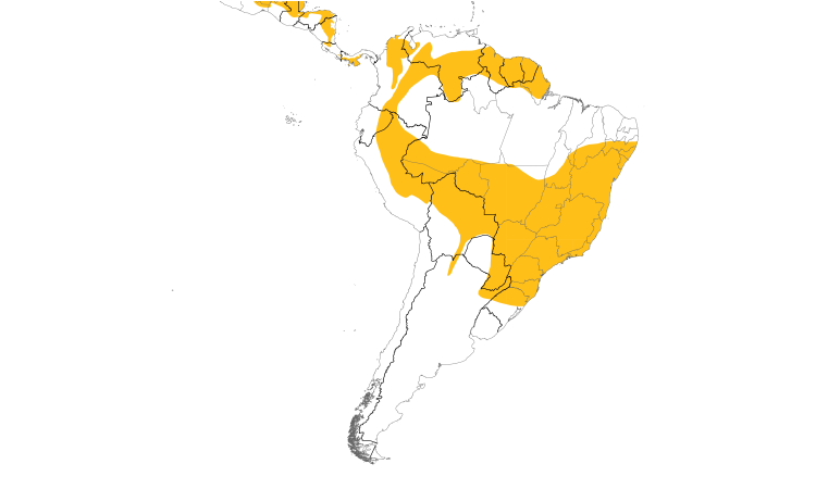 Range Map (South): Sepia-capped Flycatcher