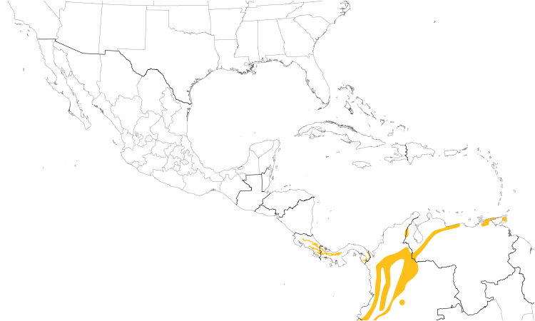 Range Map (Central): Slaty-capped Flycatcher