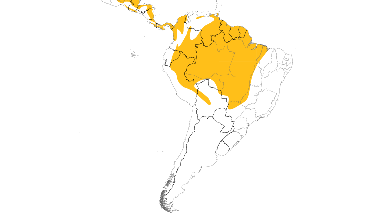 Range Map (South): White Hawk