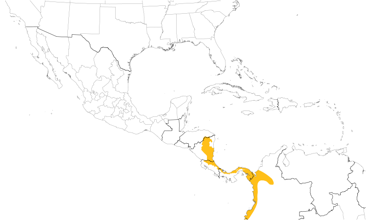 Range Map (Central): Semiplumbeous Hawk