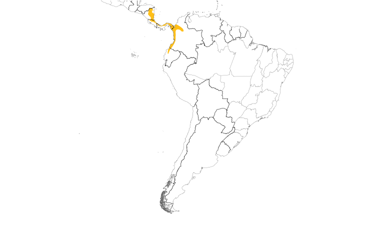 Range Map (South): Semiplumbeous Hawk