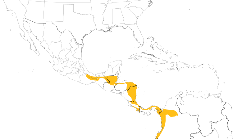 Range Map (Central): Rufous Piha