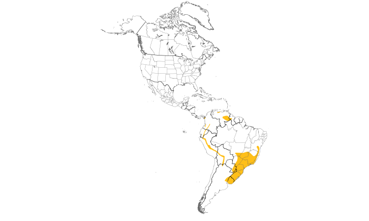Range Map (Americas): Sharp-tailed Streamcreeper