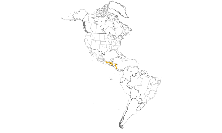 Range Map (Americas): Black-crested Coquette