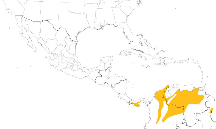 Range Map (Central): Pale-eyed Pygmy-Tyrant