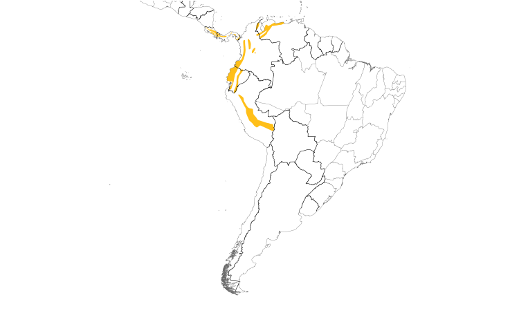 Range Map (South): Scale-crested Pygmy-Tyrant