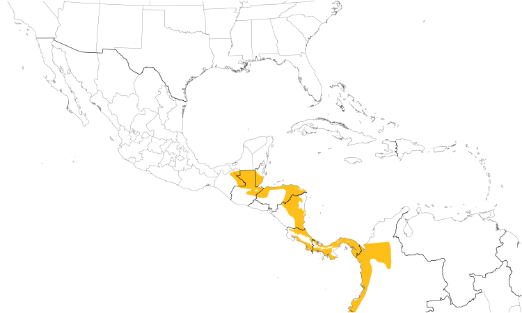Range Map (Central): White-whiskered Puffbird