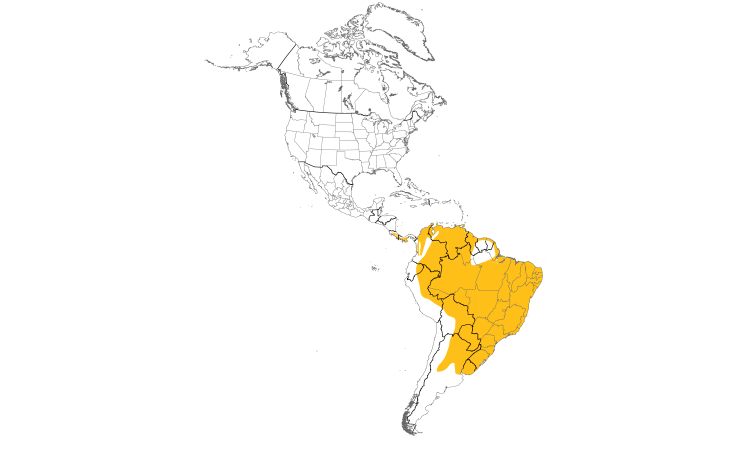 Range Map (Americas): Tropical Screech-Owl