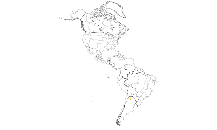 Range Map (Americas): Montane Forest Screech-Owl