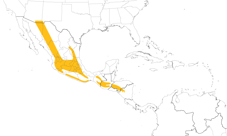 Range Map (Central): Whiskered Screech-Owl