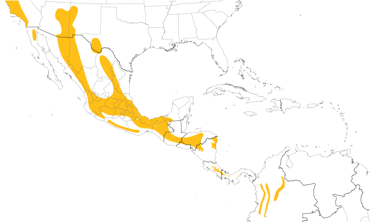 Range Map (Central): Acorn Woodpecker