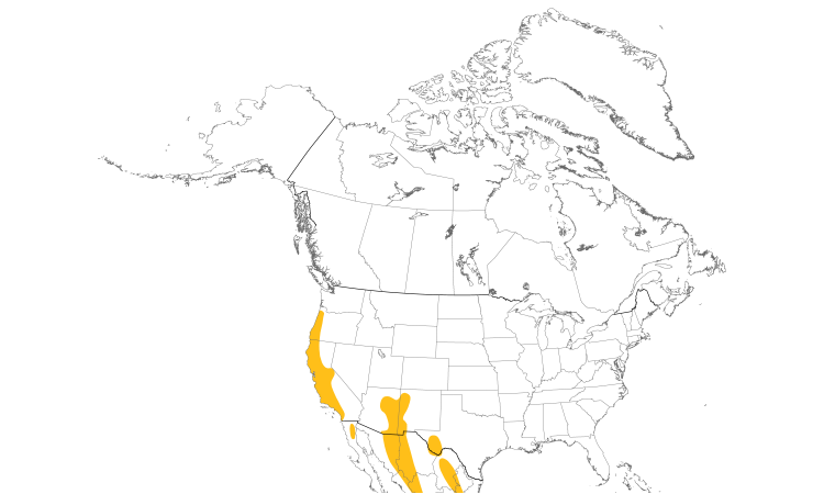 Range Map (North): Acorn Woodpecker